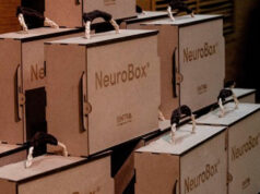 Sintra cria um novo recurso de apoio para a saúde mental