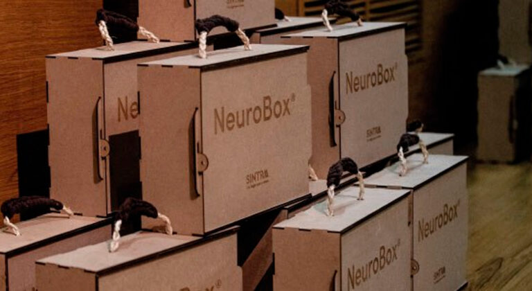 Sintra cria um novo recurso de apoio para a saúde mental