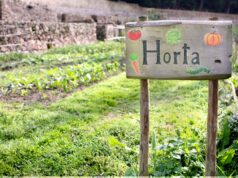 Workshops de agricultura biológica na Quintinha de Monserrate