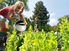 Autarquia aprova criação de horta solidária em Mira Sintra