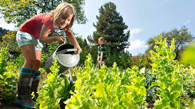 Hortas urbanas e comunitárias: o que são e que vantagens têm