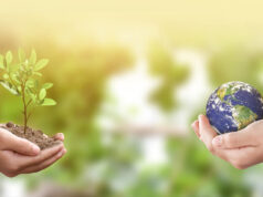 Feira do ambiente e sustentabilidade na Quinta da Ribafria em Sintra