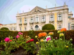 Monumentos de Sintra desvendam os segredos das plantas e a sua importância na história