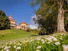 Parques de Sintra celebra Dia Internacional da Juventude com entradas gratuitas para jovens