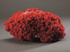 Museu Fora de Si apresenta “A Vida Imóvel” na Quinta da Ribafria