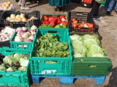 Congresso de Alimentação e Autarquias destaca projeto que envolve os SMAS de Sintra (24 e 25 de novembro)