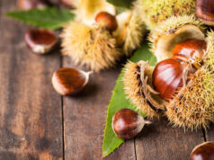 Feira de Artesanato São Martinho em Queluz