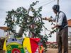 Maçã Reineta inspira chefs e dá sabor ao festival de Fontanelas