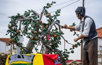 Maçã Reineta inspira chefs e dá sabor ao festival de Fontanelas