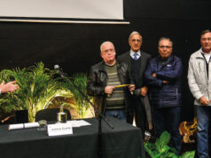 Câmara de Sintra atribuiu Medalha de Mérito à Escola Básica e Secundária Padre Alberto Neto