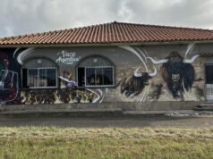 Vaca Argentina, para ir e voltar