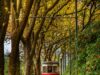 Elétrico de Sintra parado na terça-feira para trabalhos de manutenção