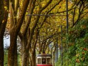 Eléctrico de Sintra regressa aos carris