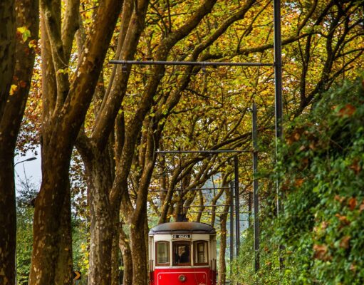 Elétrico de Sintra parado na terça-feira para trabalhos de manutenção