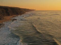 Criação de Área Marinha Protegida na orla de Sintra foi apresentada em Colares