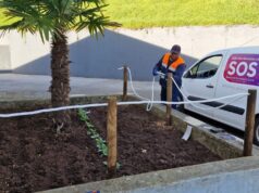 Educação Inclusiva na Escola EBS Rainha D.Leonor de Lencastre