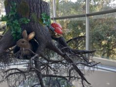 Centro de Interpretação da Natureza de Monserrate