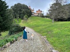 Parque de Monserrate vai admitir entrada de cães