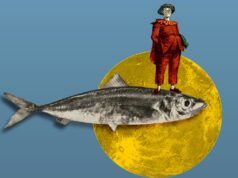 Festival de Teatro de Improviso regressa ao Olga Cadaval, em Sintra