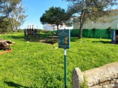 Parque das Merendas no Carrascal com trabalhos de requalificação