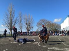 Escola Gama Barros promove Semana de “Sensibilização para a Segurança e Risco”