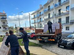 Freguesia de Algueirão Mem Martins instala abrigos para gatos de rua