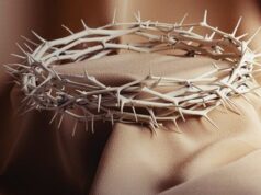 Orquestra Municipal de Sintra interpreta “A Paixão” de Haydn no Olga Cadaval