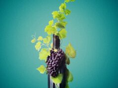 “Um Copo com História” no Museu das Artes em Sintra