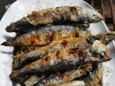 Festa da Sardinha solidária em Agualva-Cacém