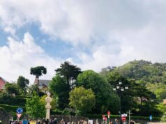 Cinquenta anos do 25 de abril nos Paços do Concelho em Sintra