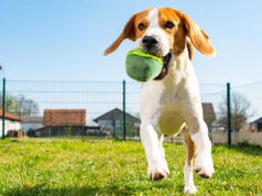 Exposição de fotografias – “De patas dadas com a sustentabilidade”