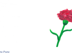 “Recordar é Viver” poema da autoria de Secreta Poeta (Isalita Pereira)