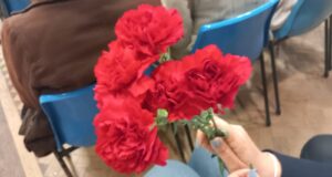 “Queluz em Liberdade” no Parque Felício Loureiro com Toy e Micaela