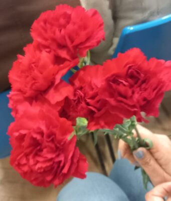 “Queluz em Liberdade” no Parque Felício Loureiro com Toy e Micaela