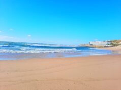 Ocean Festival na Praia Grande para assinalar o Dia Mundial dos Oceanos