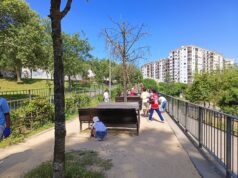 Comunidade em “Ação de Limpeza” na Ribeira das Jardas