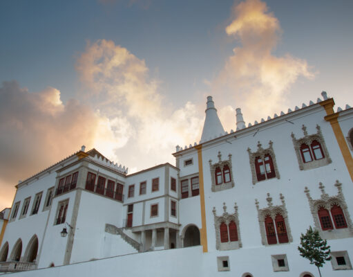 Parques de Sintra volta a concorrer a Melhor Empresa do Mundo em Conservação