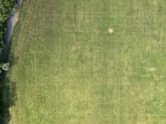 Hasta pública de 14 parcelas, lotes e edificações em Sintra