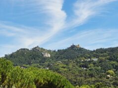 Autarquia reforça vigilância contra incêndios na Serra de Sintra