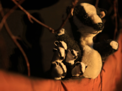 MAR assinala Dia Nacional da Conservação da Natureza com peça de teatro