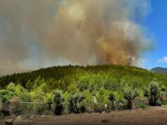 Incêndio em Alcabideche ameaça habitações