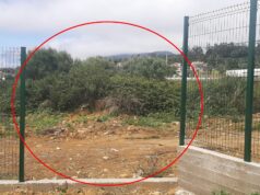 Instalações do Arsenal 72 vandalizadas e Presidente do Clube agredida