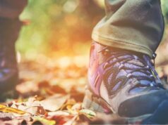 Vinho de Colares no trilho do programa “Rotas a Caminhar”