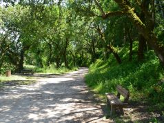 “Histórias Entrelaçadas” em Fitares na freguesia de Rio de Mouro