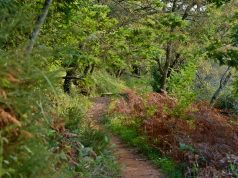 Belas Clube de Campo recebe a Taça Inter-Municipal de Resistência BTT