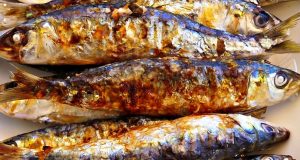 Festival da Sardinha no quartel dos Bombeiros de Agualva Cacém