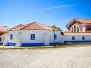 Conferência “Pão, vinho e violetas: o culto dos mortos em Roma”, no MASMO