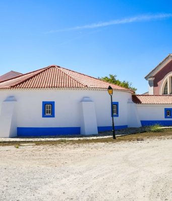 Conferência “Pão, vinho e violetas: o culto dos mortos em Roma”, no MASMO