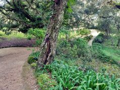 Projeto NATURELAB apresentado no Parque de Monserrate