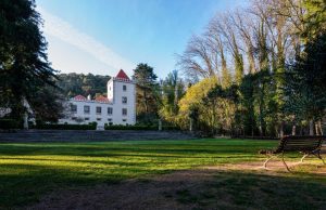 Biodiversidade, reciclagem e recursos naturais no Sintr’Ambiente